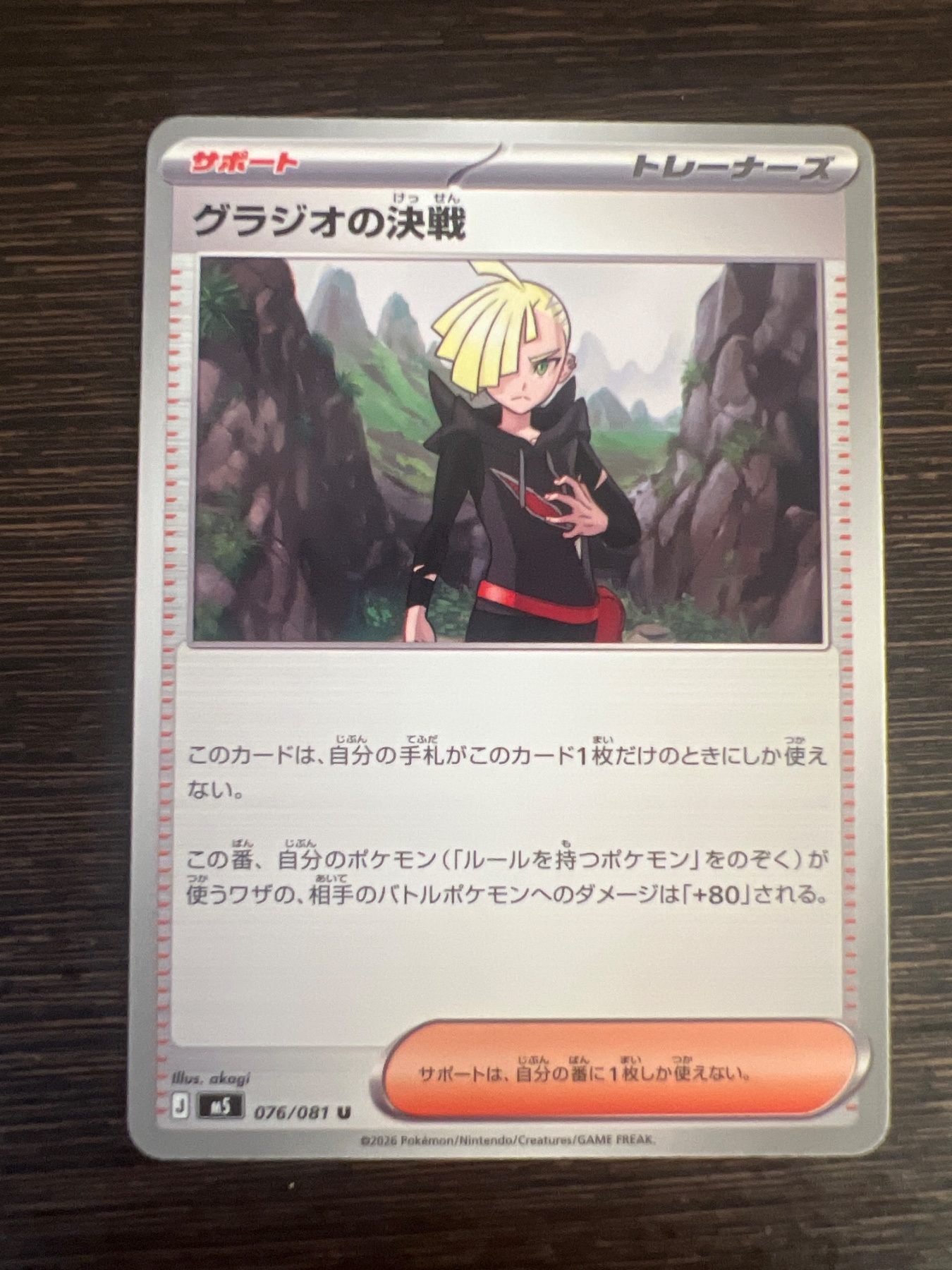 Gladion's Decision
