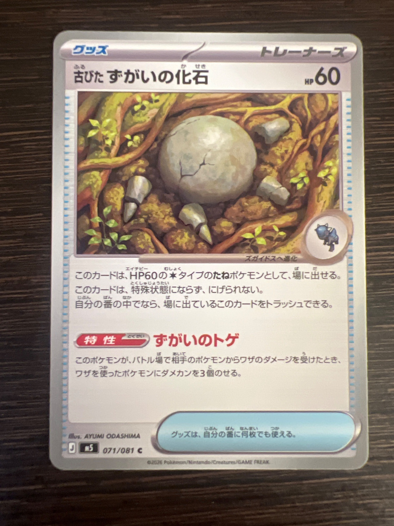 古びたすがいの化石