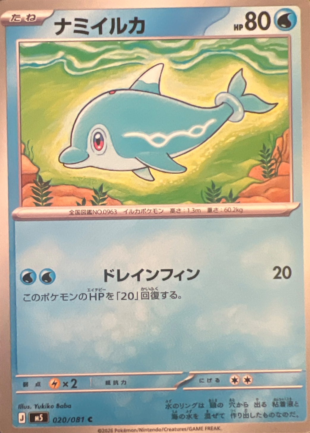 ナミイルカ