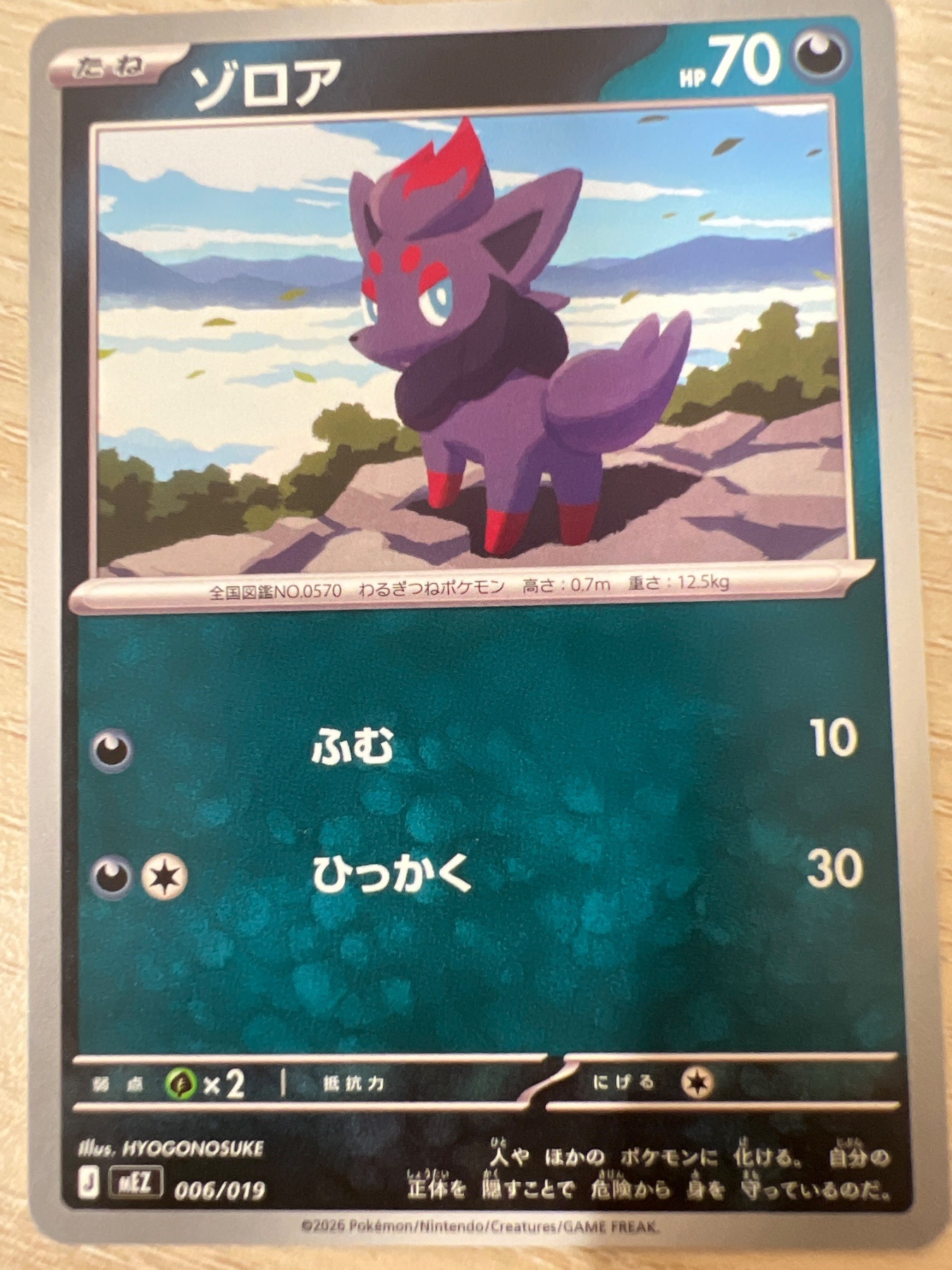 ゾロア