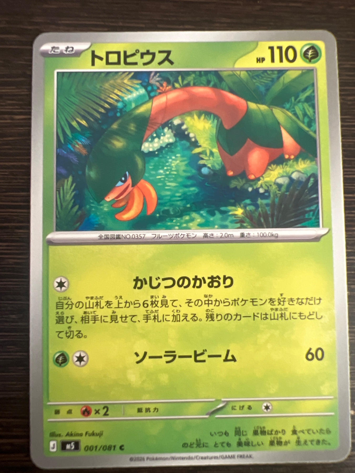 トロピウス