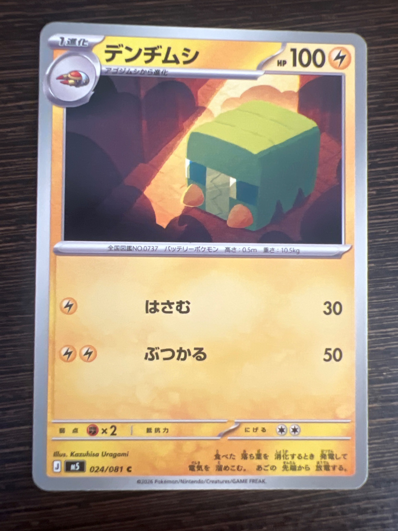 デンヂムシ