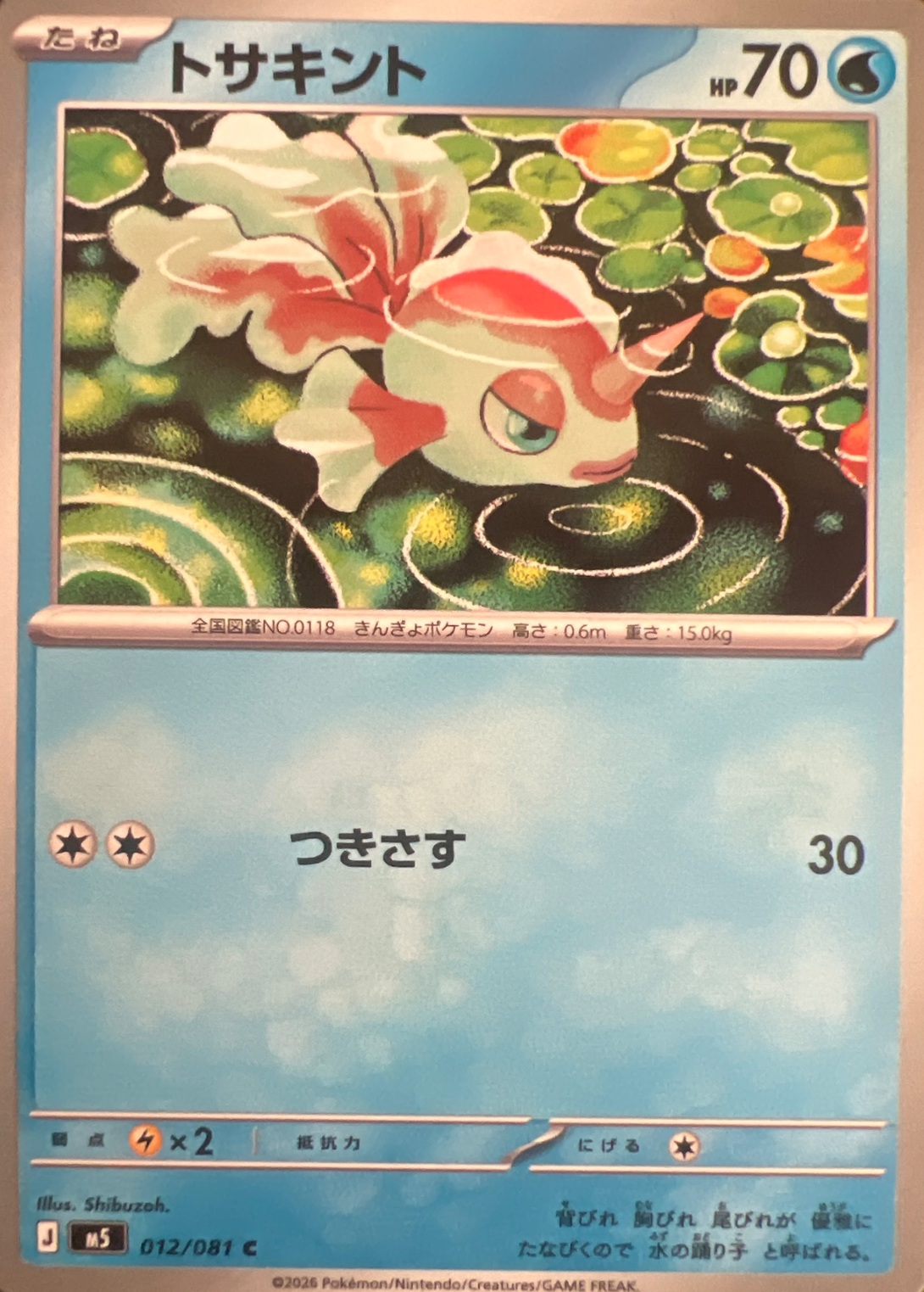 Goldeen