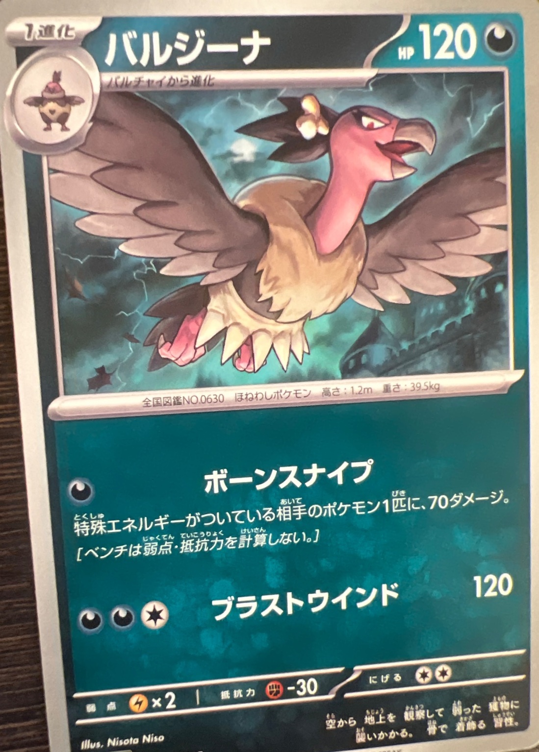 バルジーナ
