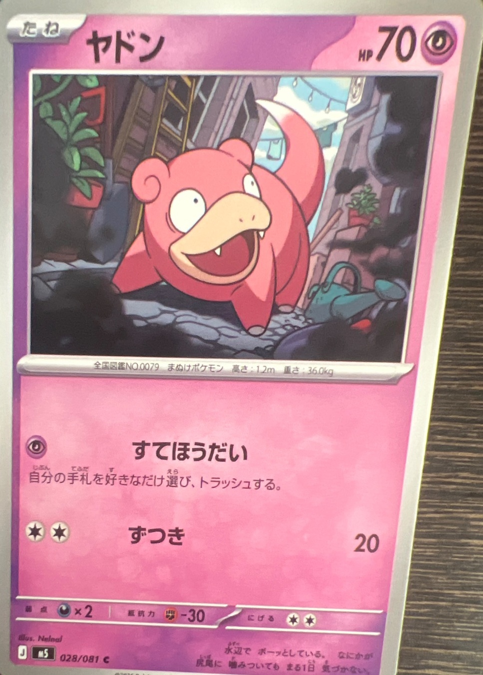 SAKURA EXCHANGE PTE LTDの登録画像