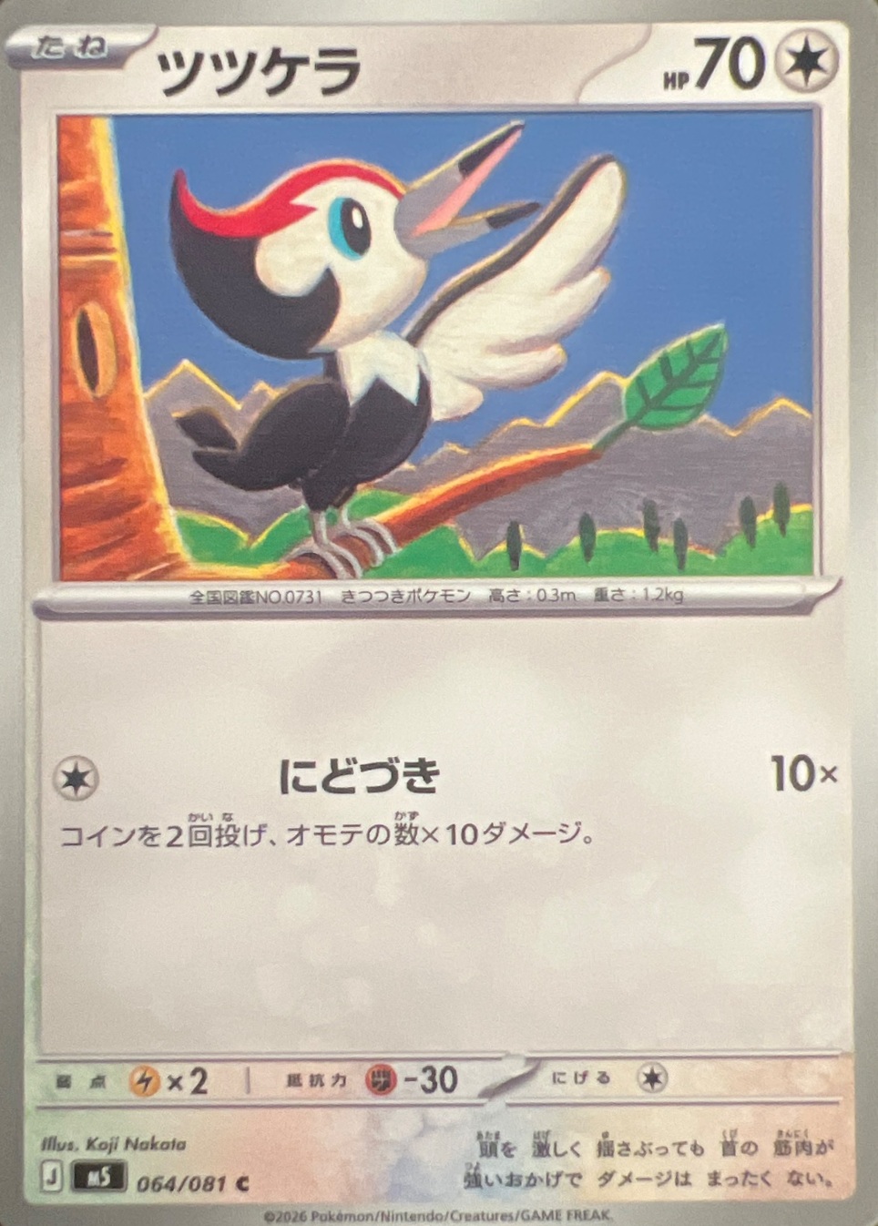 Pikipek